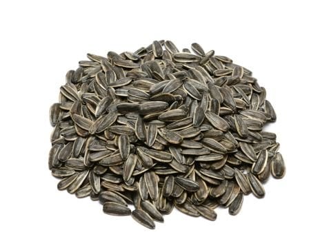 SİYAH ÇEKİRDEK XL 13