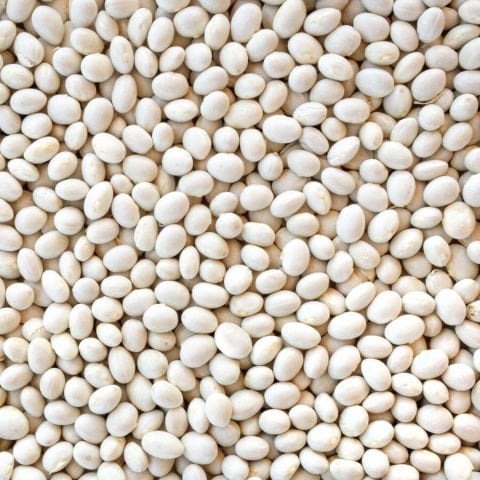 HASATA Derinkuyu Kuru Fasulyesi 1 Kg