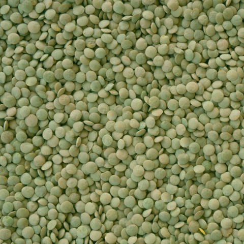 HASATA Yozgat Sultani Yeşil Mercimek 1 Kg