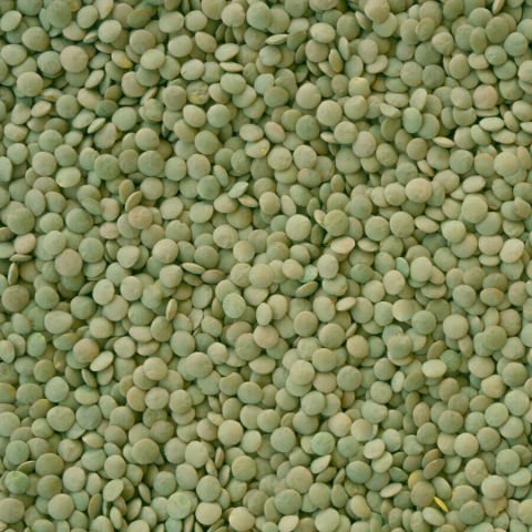 HASATA Yozgat Sultani Yeşil Mercimek 1 Kg