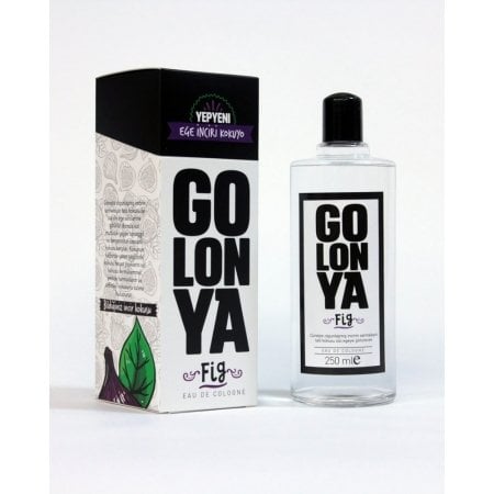 GOLONYA EGE İNCİRİ KOKUYO 250 ML