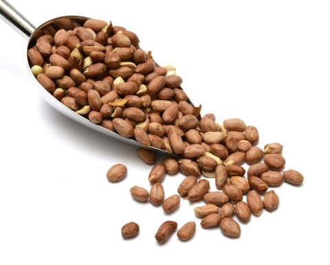 GLUTENSİZ FISTIK JUMBO