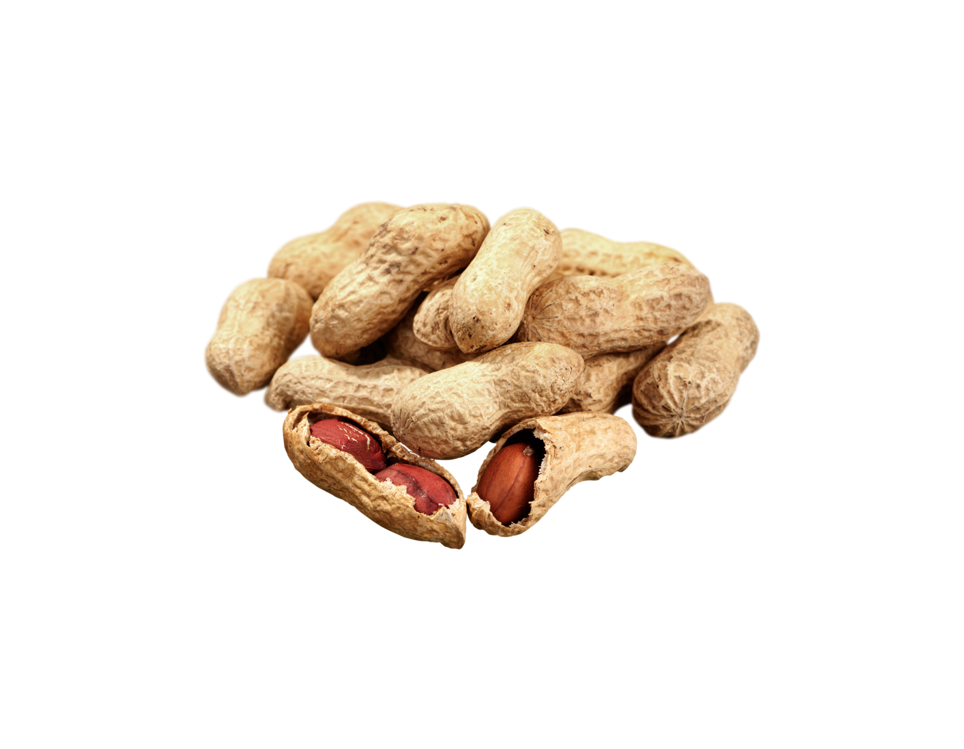 GLUTENSİZ KABUKLU YER FISTIĞI