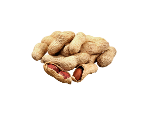 GLUTENSİZ KABUKLU YER FISTIĞI