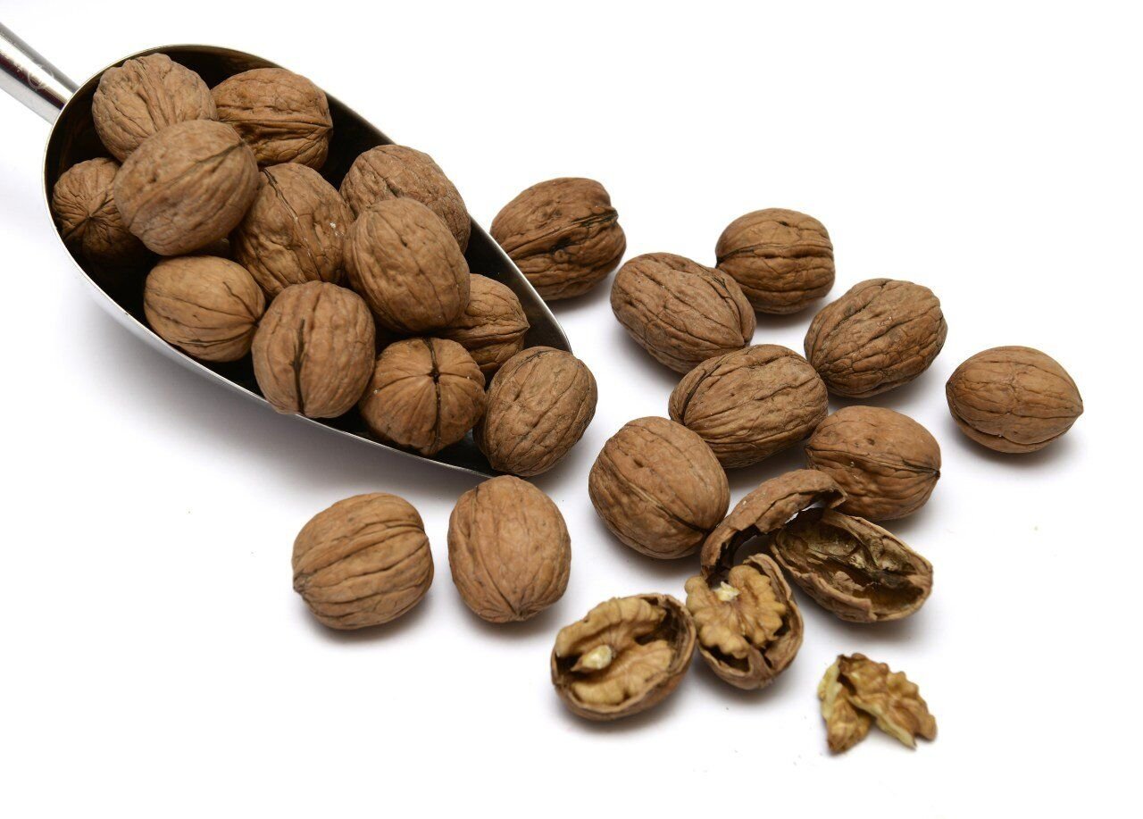 GLUTENSİZ KABUKLU CEVİZ