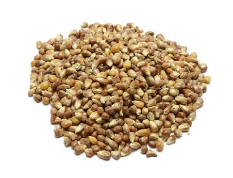 GLUTENSİZ MISIR KAVURGA