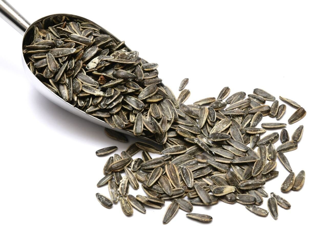 GLUTENSİZ SİYAH ÇEKİRDEK XL 13