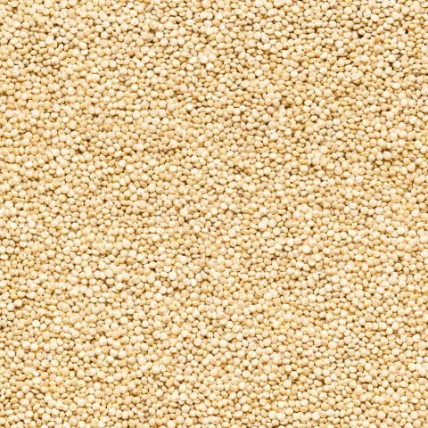 HASATA Glutensiz Kadim Kinoa 250GR